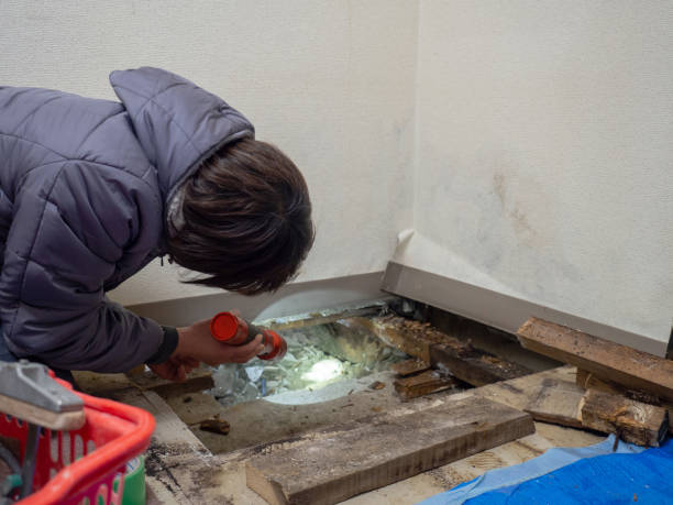 Best Residential Mold Inspection & Testing  in Gulfport, MS