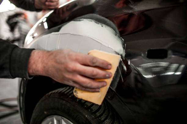 Reliable Gulfport, MS Mold Removal Solutions