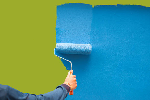 Best Basement Mold Removal  in Gulfport, MS
