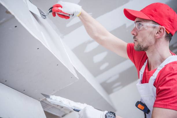 Best Mold Documentation for Insurance Claims  in Gulfport, MS