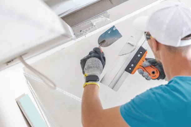 Best Mold-Related Health Consultation  in Gulfport, MS